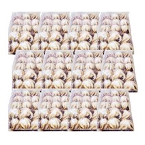 업소용 냉동쭈꾸미 200g 15미 12팩 수입산 대량 납품 훠궈용, 본품선택