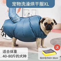 드라이룸 강아지 대형견 펫 애견 추천 드라이어 에어 고양이 드라이, XL 코드 업그레이드 (40-80캐티)