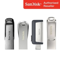 샌디스크 메탈 USB OTG 메모리 [10개이상 무료각인], CZ73, 32GB