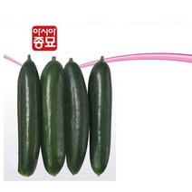 오이씨앗 아시아미인 10립 오이종자, 4개
