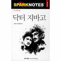 웅진북센 닥터 지바고 035 SPARKNOTES