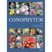 [conophytum] 오운정원 코노피튬 칼큘러스 Conophytum calculus 희귀식물, 독일 오리지널 토분