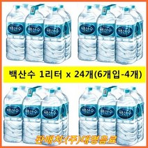 농심 백두산 백산수 1리터 x 24개(6개입-4개), 22개, 1L