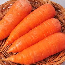 제주 흙당근 3kg 5kg 중 / 특 / 왕, 3kg (중), 1개