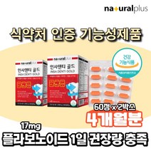 미국 인사덴티골드 60정 프로폴리스추출물 비타민C 50mg 칼슘 210mg 플라보노이드 17mg propolis vitaminC, 2박스
