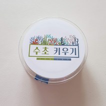 수초활착실 모스 나나 부세 음성수초 활착용 활착실 모스용 비탄성, 나나 음성수초용 50m(탄성)