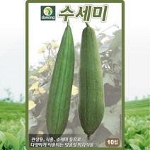 다농 수세미 씨앗 10립