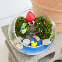 [테르테라] 숲속 연못 테라리움 DIY 키트, 1개