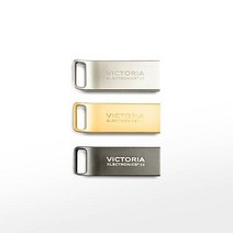 알파 더빅토리아 USB메모리 VT310 32GB, 단품
