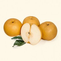 국내산 배 10kg/5kg 고당도 꿀배 쥬스용 황금배 주스용 10키로, 국내산 배 5kg (혼합과)