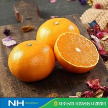 2023 귤로장생 제주 천혜향 4kg1박스 + 한라봉 2kg1박스