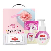 애경 랩신 손세정 청결 선물세트 (컬러체인지 250ml 용기+200ml 리필+손소독티슈 60매)