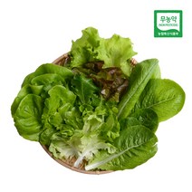[감동] 고창 이영성 무농약 쌈채소, 1box, 800g