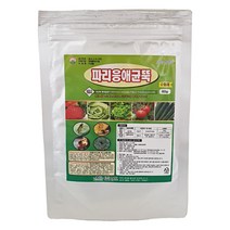파리응애균뚝 식물 화분 딸기 뿌리파리 빅카드 응애 탄저병 파리약 퇴치 토양 살충제, 파리응애균뚝 수화제 60g