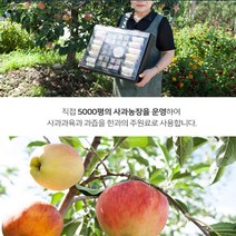 명절 선물 충주사과 한과 유과 세트 사과맛 유과