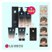 자연갈색물들임 샴푸 550ml2 80ml2+트리트먼트2+쇼핑백