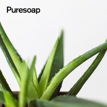 퓨어솝 알로에베라겔(모이스트) (손세정제 수딩젤 만들기) 화장품 만들기, 500g