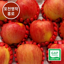 [포천 사과] GAP인증 껍질째 먹는 명작 포천 홍로사과 난이사과, 1박스, 10kg(34~36과)