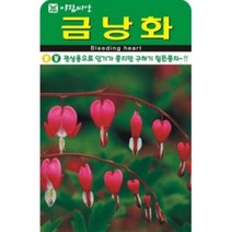 AR 금낭화(20립) 2019년 귀한 종자 씨앗
