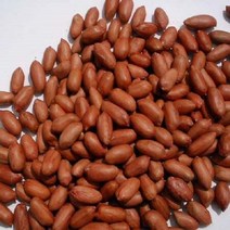 국내산 여주 구운땅콩500g 땅콩 생땅콩 콩 볶은땅콩, 상세페이지 참조