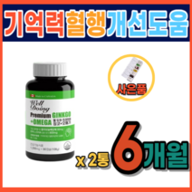 기억력 개선 뇌건강 은행잎 추출물 집중력 장애 저하 감퇴 기능 향상 개선 에좋은 식품 식약처 정맥순환개선 하지정맥 다리 혈액순환 피 맑게 하는 영양제 음식 건조한 눈 약 3개월분, 2통, 90캡슐