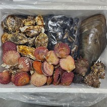모듬조개세트 캠핑세트 찜 구이 탕 조개모음 홈파티 가족, 모듬조개세트 2kg(키조개 미포함)