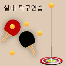 실내 탁구 스포츠 샤프트 탁구 트레이너 탁구연습 겨울훈련 어린이 근시 실내 가정용, 대가족 스타일 (나무 라켓 포함)