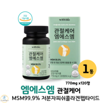 관절케어 엠에스엠 관절MSM 디메틸설폰 엔에스엠 msm피부 피쉬콜라겐 식약처인증 관절연골, 1박스, 770mg x 120정