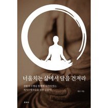 너울치는 삶에서 달을 건져라 : 생활과 수행을 함께해 나가야 하는 재가수행자들을 위한 길잡이!, 도서