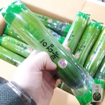 새벽들 국산 신선한 애호박 (2개 5kg), 1box, 5kg