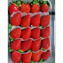 죽향딸기 산지직송 프리미엄 명품 논산딸기, 2kg, 1개