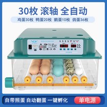 병아리부화기 자동병아리부화기 달걀부화기 계란부화기, 스마트 전자동 부화기 단전 30란