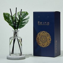 레이나퍼퓸 프리미엄 몬스테라 플라워디퓨저 150ml, 투명화분병:아카시아