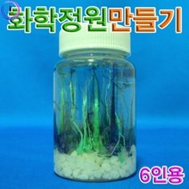 기타 h70 화학정원만들기(6인용)