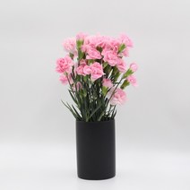 미니 카네이션 (스프레이) 모음 꽃정기구독 생화택배 (고속터미널꽃시장 직배송) 꽃예꽃, 연핑크, 며칠 기다렸다가 꽃 입고 되는대로 발송, 월요일 구매시 (수~목요일 도착)