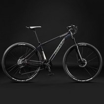 영국 필립스 산악 제트스트림 사바파이크 k3 팻바이크카 자이언트 giant mtb inch, 27 속도 알루미늄H, 29인치