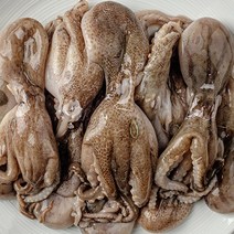 [새벽조업당일발송] 서해안 활주꾸미 쭈꾸미 쭈꾸미볶음 샤브샤브쭈꾸미, 활 주꾸미 3kg