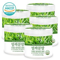 푸른들판 국산 어린 잎 밀싹 밀새싹 밀순 분말 가루 100% 파우더 해썹 인증 추천, 100g, 5통
