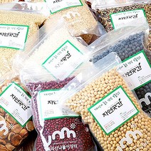 전남구례 서리태 팥 대두 동부 백태 잡곡 메주콩 쥐눈이콩 녹두 약콩 속청 햇콩, 백태900g, 1개