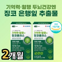 식약청 인정 은행잎 추출물 고함량 징코 혈액 순환 혈행 기억력 개선 브레인 두뇌 영양제 손가락 손끝 발가락 팔다리 저림 에좋은 부모님 노인 시니어 수험생 집중력 혈관, 30정 x 2박스 2개월분