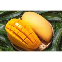 프리미엄 특품 태국 골드 망고, 5kg(10-18과), 1개