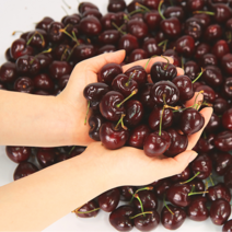 (큰박스 과일 도매) 체리 넉넉한 프리미엄 고당도 생체리 미국산 왕체리, 5kg - 9ROW