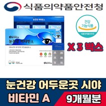 비타민 회사원 보조제 눈건강 비타민A 섭취권장 어두운 곳 목넘김 쉬운 탁구 골프 당구 수영 태권도 복싱 사이클 자전거 균형 기초체력 운동선수 불규칙 쉽게피곤 노인 부모님 장모님 직장인 영양제