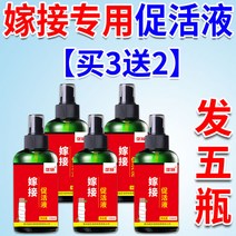 상처 나무 식물 도포제 가지 과수원 영양제 전정 수목, 5병