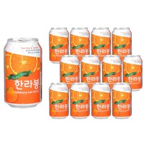 한라봉에이드 350ml 12캔X2박스 한라봉착즙 과일탄산음료