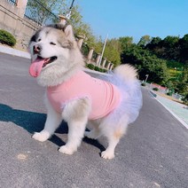 주인 커플룩 중형견 대형견 강아지 옷 여름 샤 원피스 의류 애견, 핑크 치마_2XL