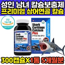노년 남성 여성 노인 어르신 뼈 관절 영양제 칼슘 청새리 청 상어연골 SHARKCARTILAGE CALCIUM 어골 생선뼈 카티포뮬라 무릎연골에좋은