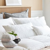 [소프라움] 패밀리 구스 베개솜+베개커버 세트 50x70 7종택1, 커버_메이지(MOS21SC02201MT50x70), 솜1장(MWO20AS03P11WH50x70)