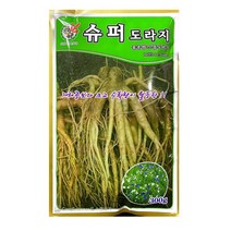 슈퍼도라지씨앗 종자 300g 제일시드바이오