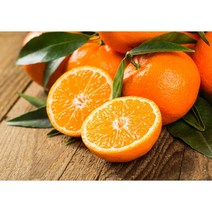 (산지직송) 제주삼대농장 프리미엄 천혜향 친환경 무농약 선물용 가정용 1kg 3kg 5kg, 5kg(16~24)중과